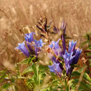 Local Color inspiration